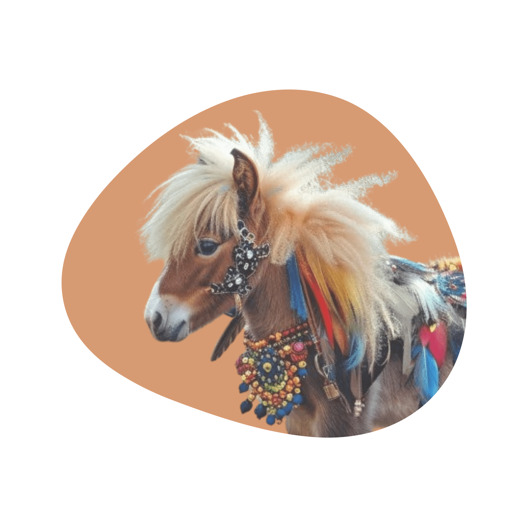 CYWYC poney à plume